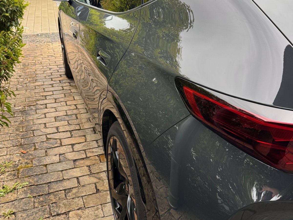 CUPRA Tavascan Seite nach Premium-Aufbereitung